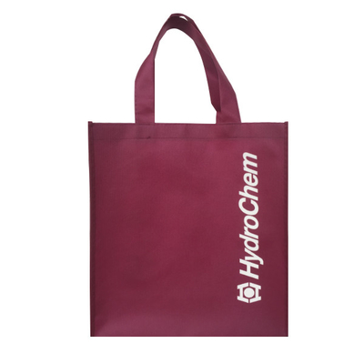 Eco Friendly 80gsm 1000 sztuk 30x15x35cm PP Non Woven Bag