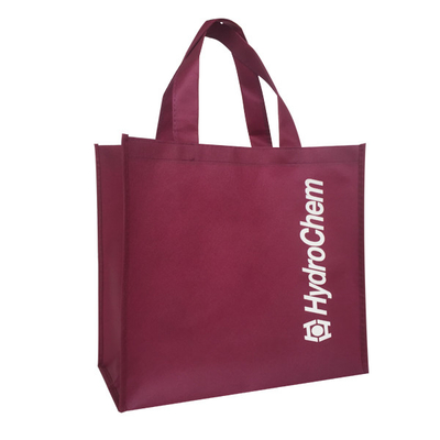 Eco Friendly 80gsm 1000 sztuk 30x15x35cm PP Non Woven Bag