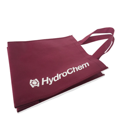 Eco Friendly 80gsm 1000 sztuk 30x15x35cm PP Non Woven Bag